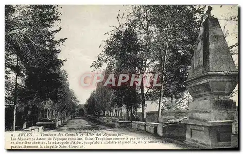 Ansichtskarte AK Arles Tombeau Des Consuls et allee des Alyscamps