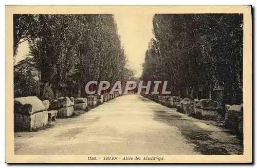 Ansichtskarte AK Arles Allee Des Aliscamps