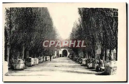 Ansichtskarte AK Arles Les alyscamps Allee des tombeaux