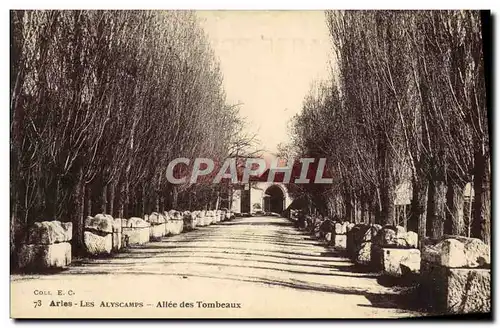 Ansichtskarte AK Arles Allee des Tombeaux