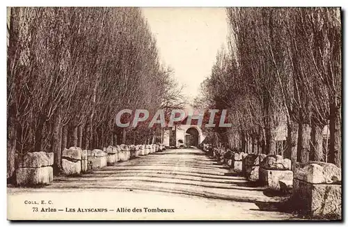 Ansichtskarte AK Arles Les Alyscamps Allee des tombeaux