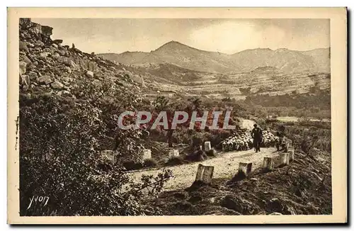 Cartes postales Sur la route de St Remy aux Baux Berger et moutons