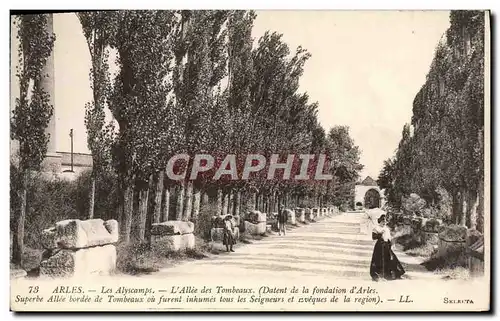 Cartes postales Arles Les Alyscamps L&#39Allee des Tombeaux