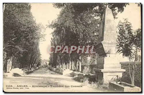 Ansichtskarte AK Arles Aliscamps Tombeau des Consuls