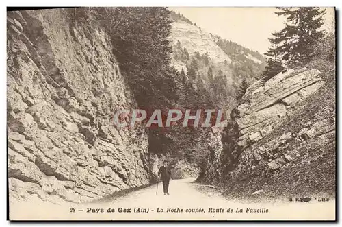 Ansichtskarte AK Pays de Gex La Roche Coupee Route de la Faucille