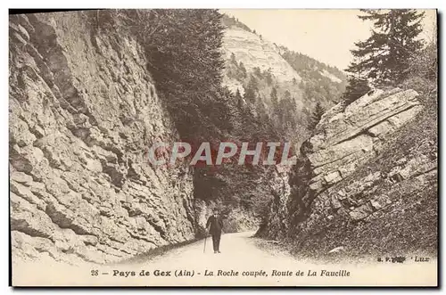 Cartes postales Pays de Gex La Roche Coupee Route de la Faucille