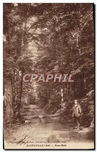 Cartes postales Hauteville Sous Bois