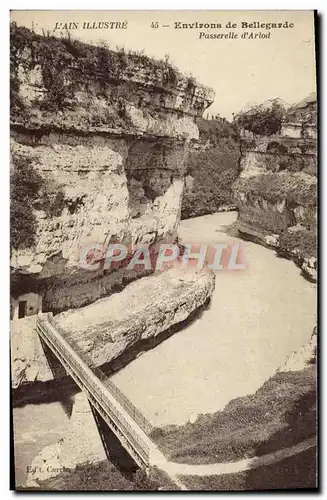 Cartes postales Environs de Bellegarde Passerelle d&#39Arlod