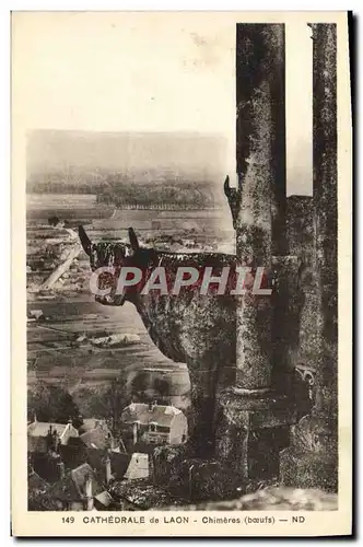 Cartes postales Cathedrale de Laon Chimeres Boeufs