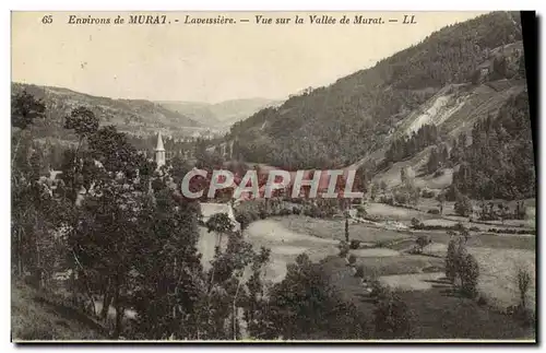 Ansichtskarte AK Environs de Murat Laveissiere Vue sur la Vallee de Maurat