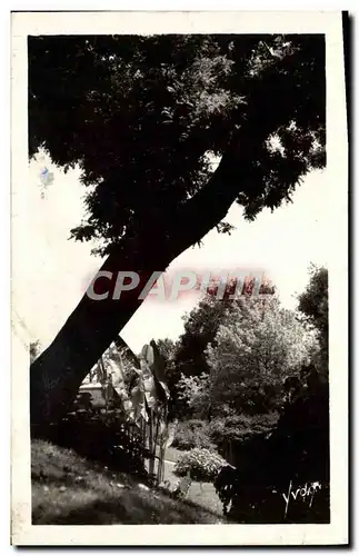 Ansichtskarte AK Vichy Un joli coin du parc des Celestins