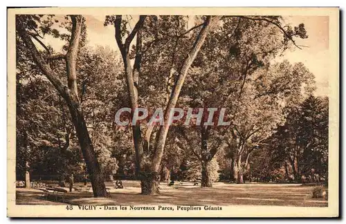 Cartes postales Vichy Dans les Nouveaux Parcs Peupliers Geants