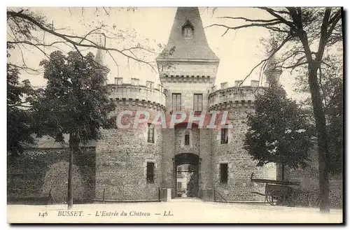 Cartes postales Busset L&#39Entree du Chateau