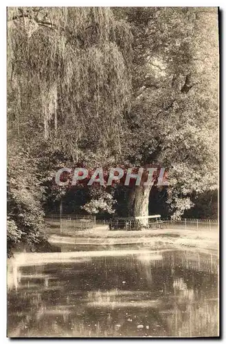 Cartes postales Vichy Un Coin Du Parc