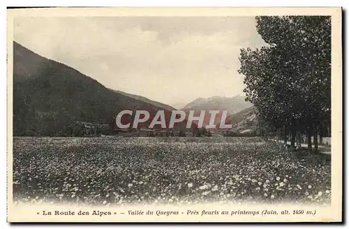 Ansichtskarte AK La Route Des Alpes Vallee Du Queyras Pres Fleuris Au Printemps