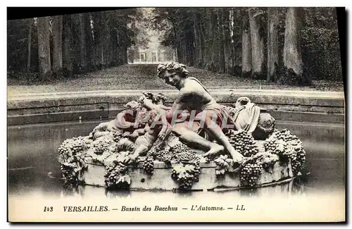 Ansichtskarte AK Versailles Bassin des Bacchus L&#39Automne