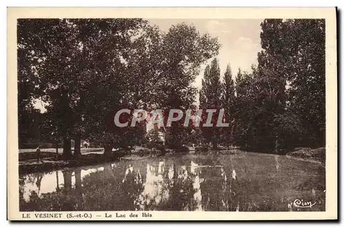 Cartes postales Le Vesinet Le Lac des Ibis