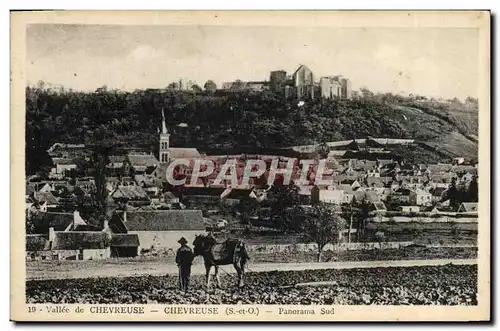 Cartes postales Chevreuse Panorama Sud