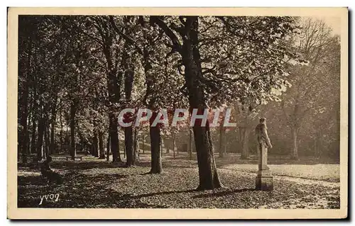 Cartes postales Versailles Allee de Bacchus