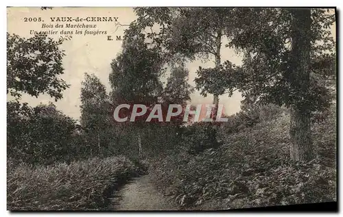 Ansichtskarte AK Vaux de Cernay Bois des Marechaux Un sentier dans les fougeres