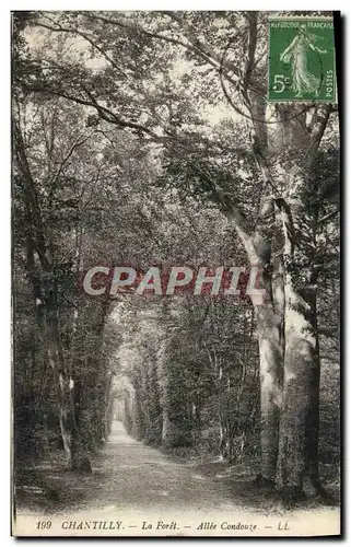 Cartes postales Chantilly La Foret Allee Condouze