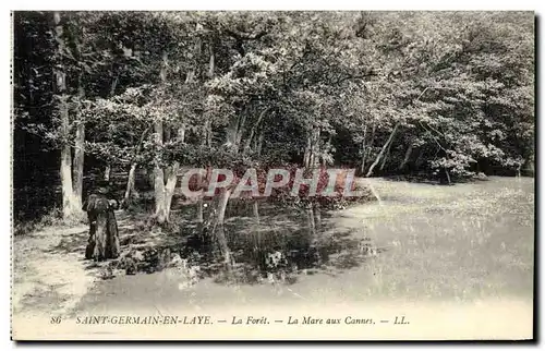 Cartes postales Saint Germain en Laye La Foret La Mare aux Cannes