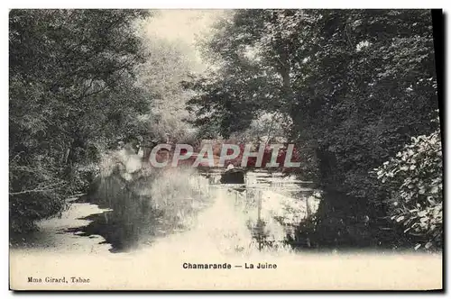 Cartes postales Chamarande La Juine