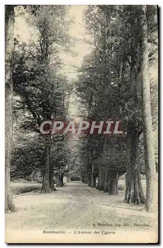 Cartes postales Ramouillet L&#39Avenue Des Cypres