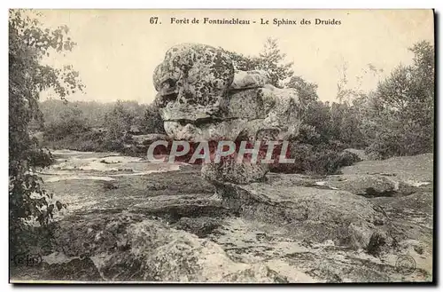 Ansichtskarte AK Foret De Fontainebleau Le Sphinx Des Druides