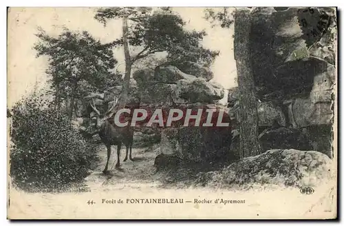 Cartes postales Foret De Fontainebleau Rocher D&#39Apremont Cerf