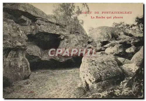 Cartes postales Foret De Fontainebleau La Roche Qui Pleure