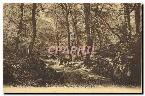 Cartes postales Fontainebleau La Foret La Gorge du Loup