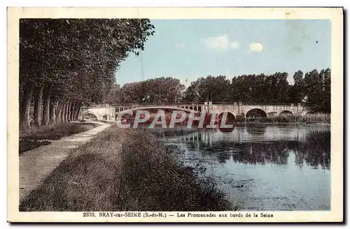 Ansichtskarte AK Bray Sur Seine Les Promenades Aux Bords De La Seine