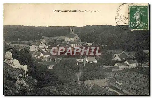 Cartes postales Boissy Aux Cailles Vue Generale