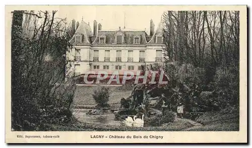 Cartes postales Lagny Chateau Du Bois De Chigny Cygnes