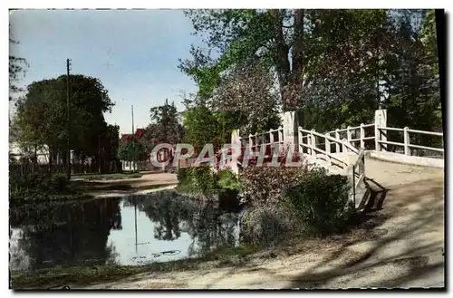 Cartes postales moderne Le Vesinet Bord Du Lac Des lbis Le Pont