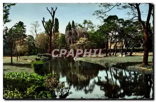 Cartes postales moderne Le Vesinet Petites Rivieres De La Grande pelouse