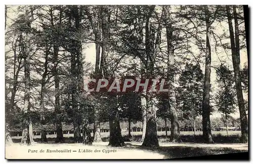 Cartes postales Parc de Rambouillet L&#39Allee des cypres