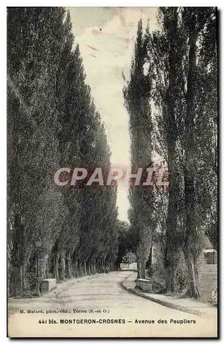 Cartes postales Montgeron Crosnes Avenue des Peupllers