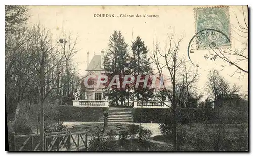 Ansichtskarte AK Dourdan Chateau des Alouettes