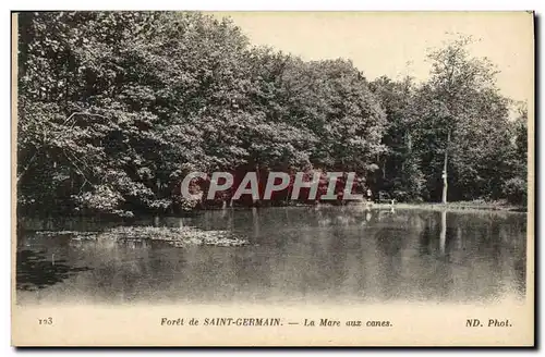 Cartes postales Saint Germain En Laye Foret La Mare aux Canes