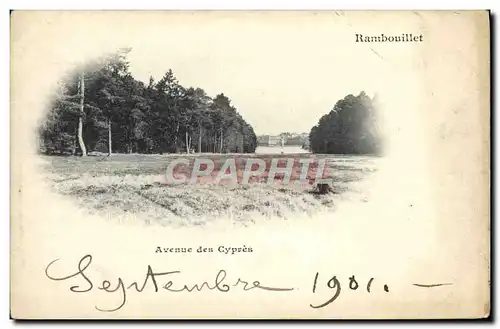 Cartes postales Rambouillet avenue Des Cypres