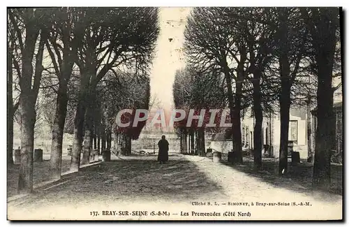 Ansichtskarte AK Bray Sur Seine Les Promenades