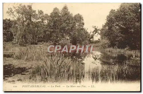 Ansichtskarte AK Fontainebleau La Foret La Mare Aux Fees