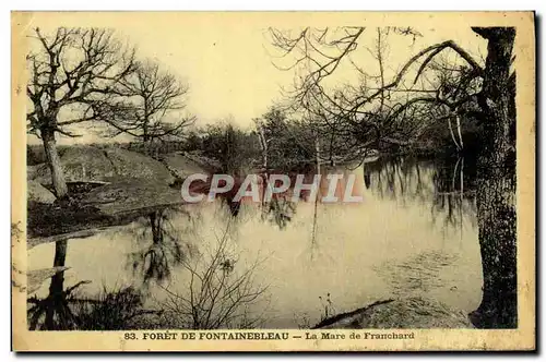 Cartes postales Foret De Fontainebleau La mare De Franchard