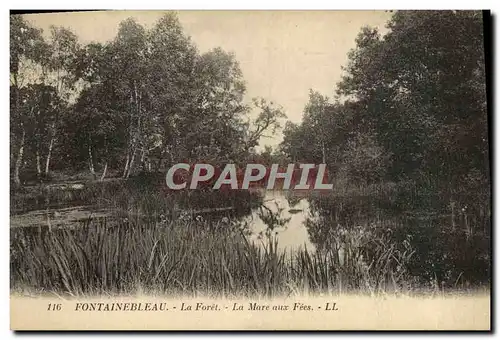 Ansichtskarte AK Fontainebleau La Foret La Mare Aux Fees