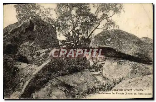 Cartes postales Foret De Fontainebleau Rendez Vous Des Fiances Rocher des Demoiselles