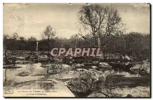 Ansichtskarte AK Foret De Fontainebleau Les Mares Du Plateau De Belle Croix Cuvier Chatillon