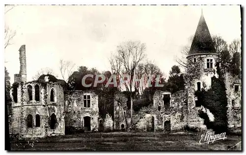 Cartes postales moderne Fontenay Tresigny Ruines Du Chateau Royal Du Vivier