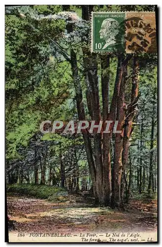 Cartes postales Fontainebleau La Forett Le nid de l&#39aigle